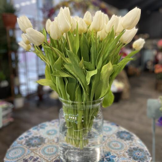 Tulipes Blanches