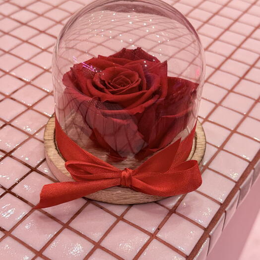 Красная вечная роза под колпаком