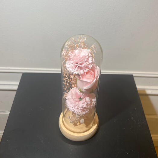 Cloche С наилучшими пожеланиями роза