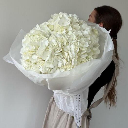 White hortensia 7 flowers