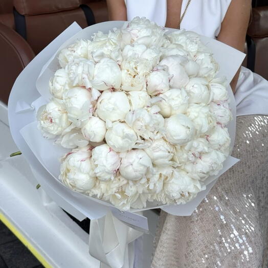 Peony 35 stems