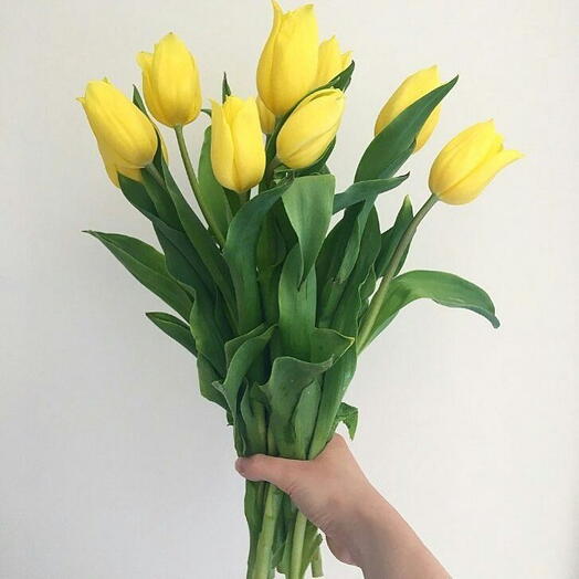 Bouquet of Yellow French tulips