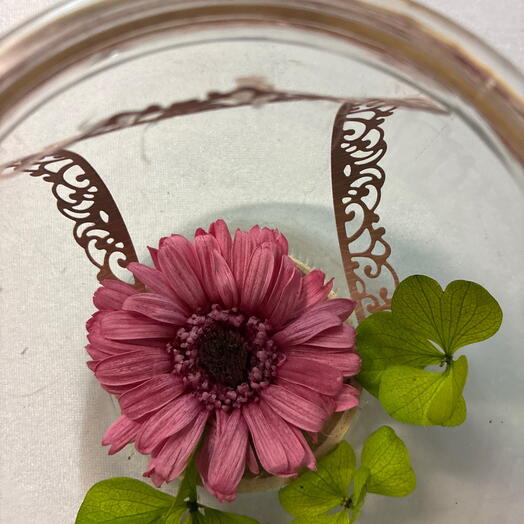 Gerbera stabilisee dans globe