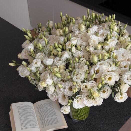 White Lisianthus