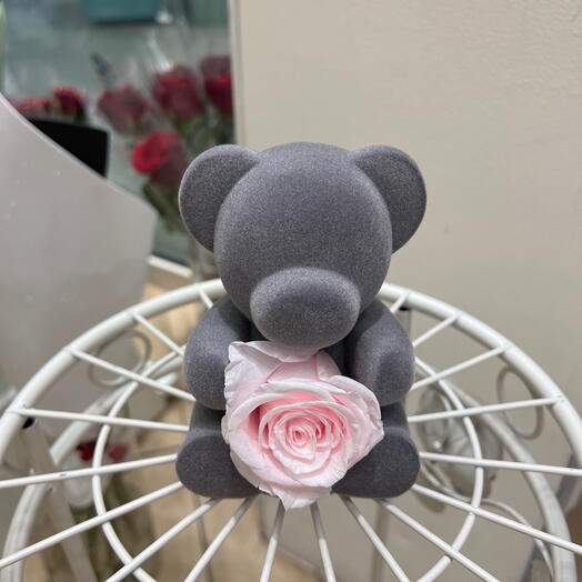 Ourson rose eternelle rose
