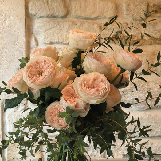 Elegant rose David Austin
