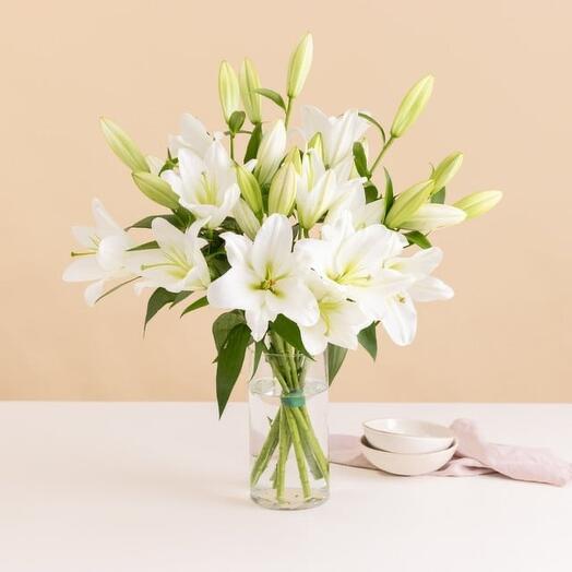 Lilium blanche