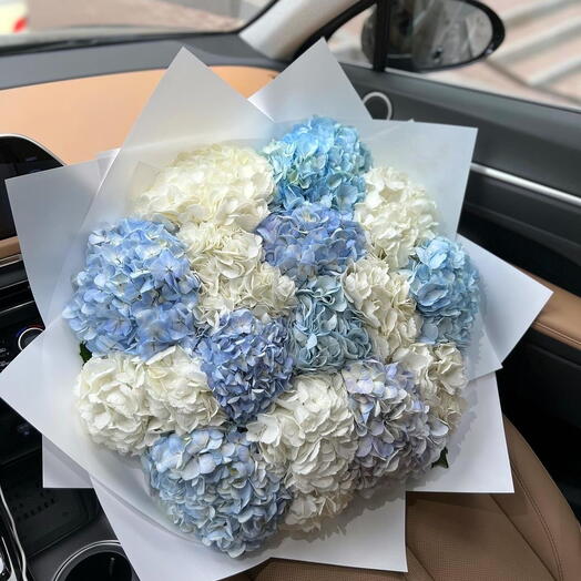 Blue white cloud