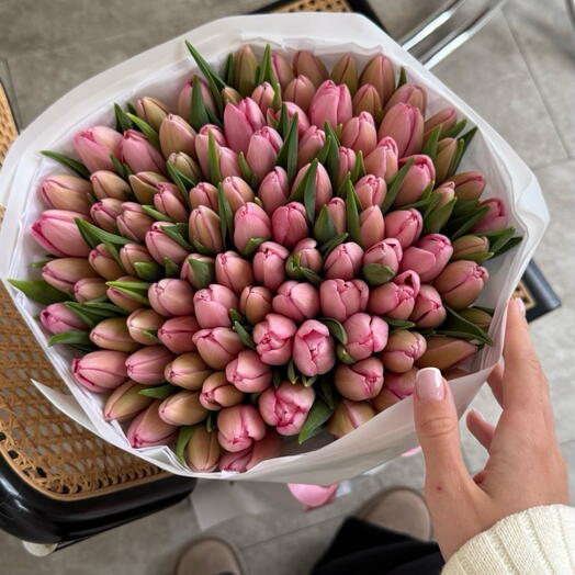 Peachy pink tulips 100 stems