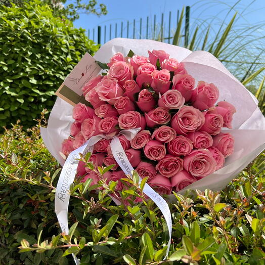 61 roses pink