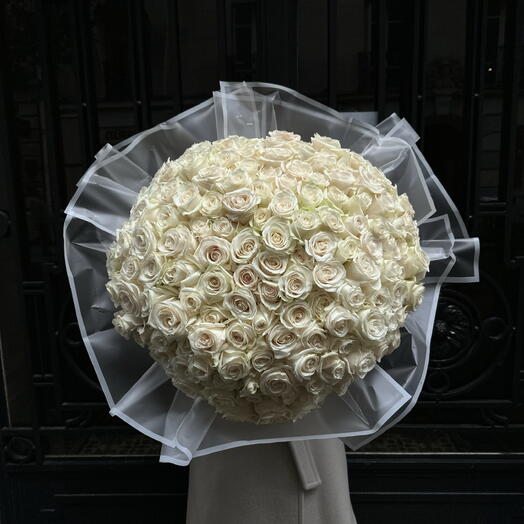 150 white roses