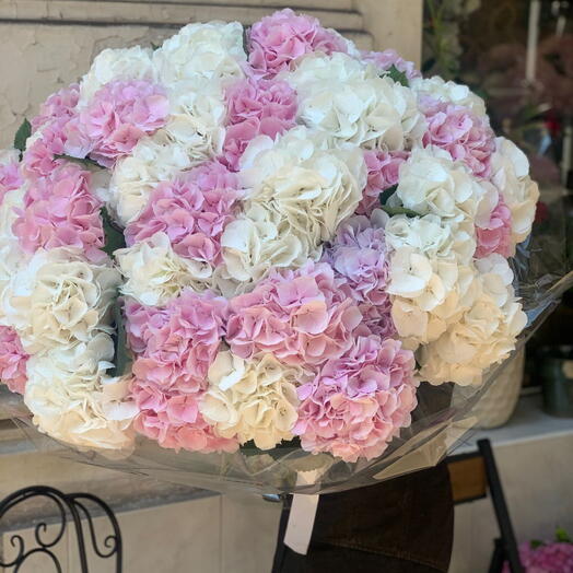 50 hortensias roses et blancs