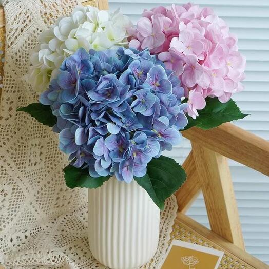 Hortensias en couleur