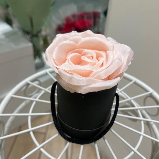 Box unite rose rose