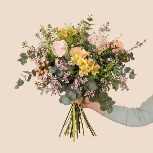 Тедди оазис