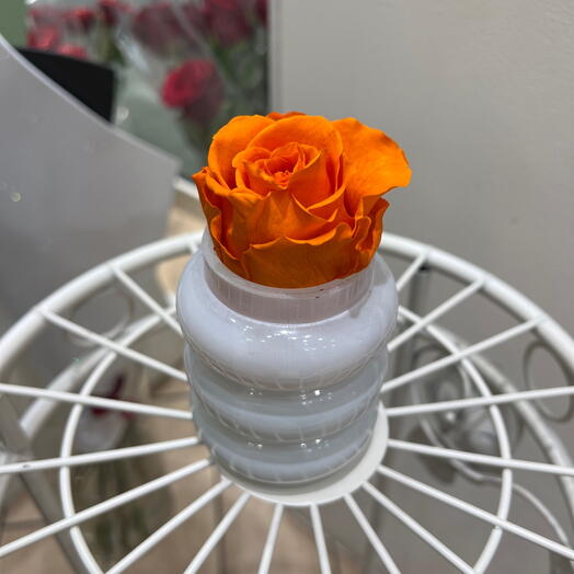 Rose eternelle orange vase blanc