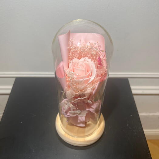 Роза Клош Брайт Харт