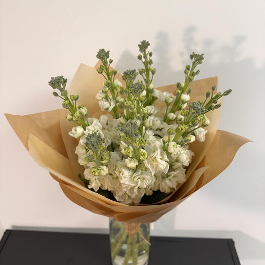 White Mattiola Bouquet