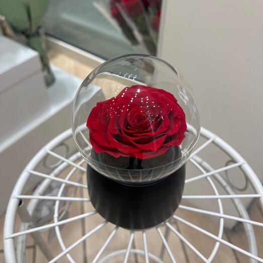 Boîte à musique rouge