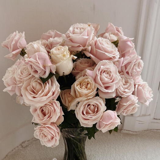 Roses tender 27 flowers