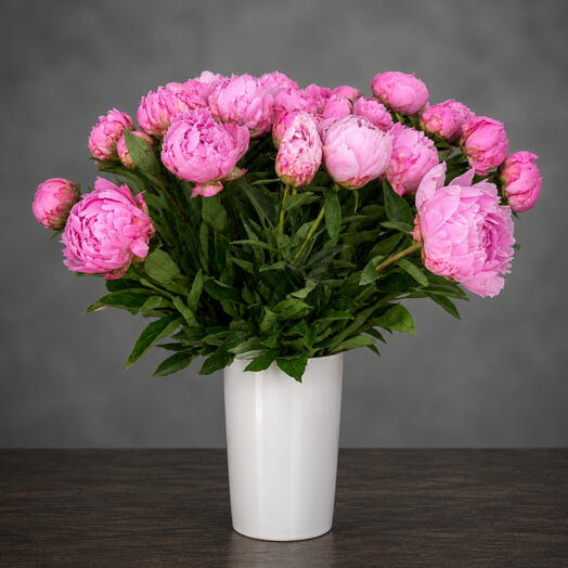 Pivoine Rose Prestige