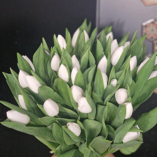 Белая жемчужина