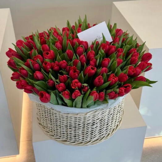 Red tulips in basket