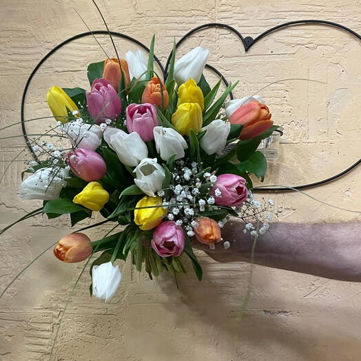 Tulipes multicolores et gypsophiles
