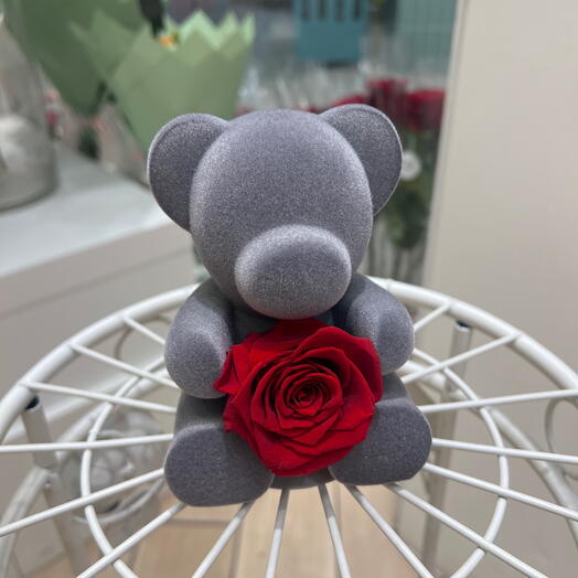 Ourson gris rose eternelle rouge