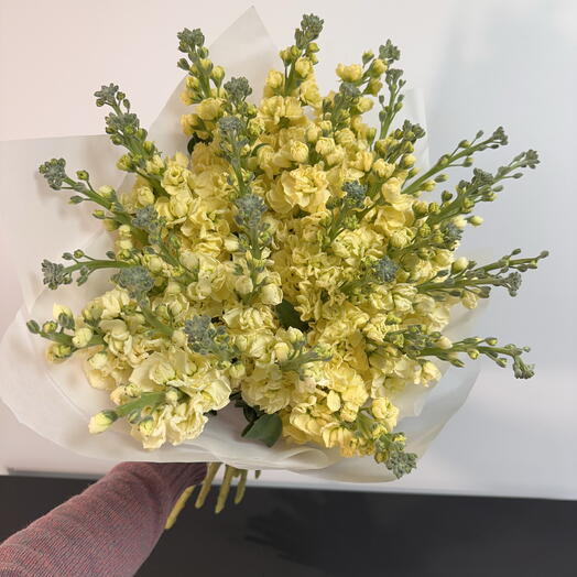 Yellow Mattiola Bouquet