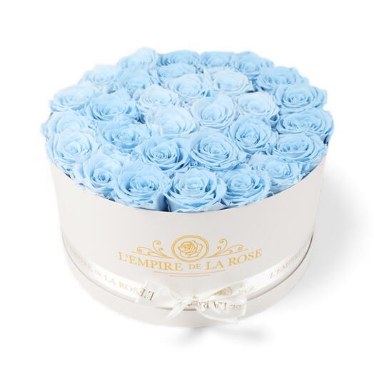 Box rue Saint-Honore