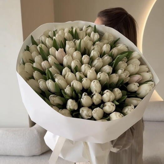 Tulips white 101 stems