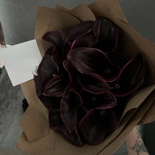 Purple callas