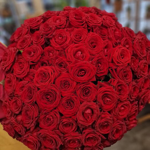100 elegant roses rouge