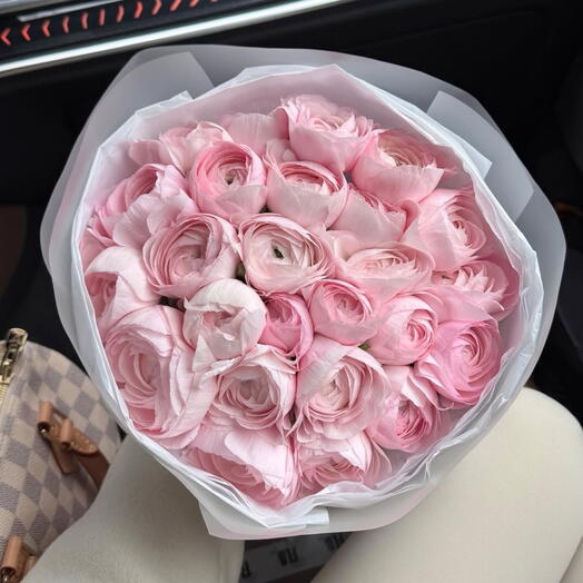 Ranunculus clone 25 stems