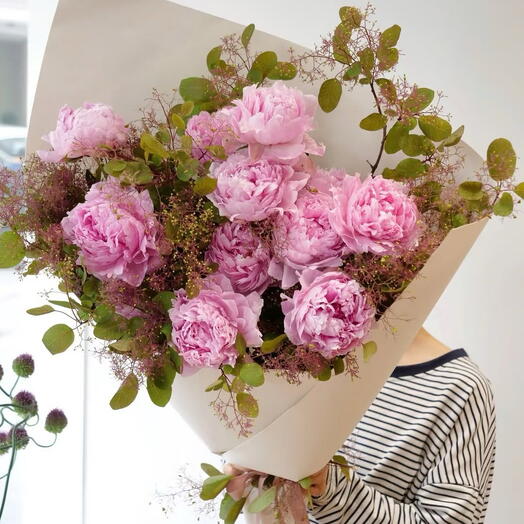 Saisons de pivoine L